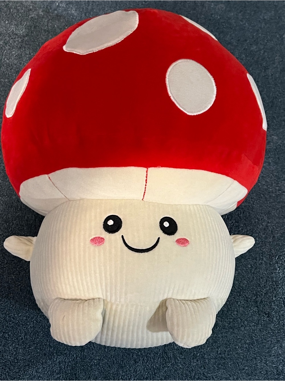 Smooshy Plush Character Pillow - White with Colorful Logo